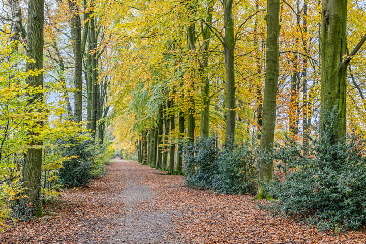 Photo 46 of Schiestraat 36