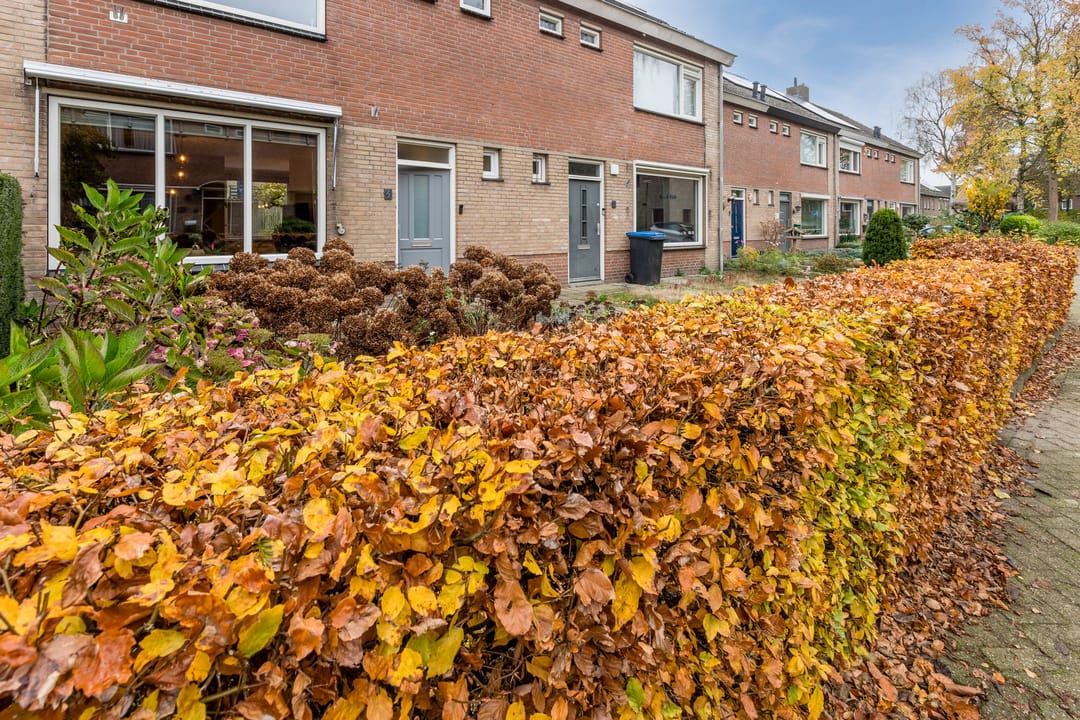 Foto 7 van Frisostraat 5