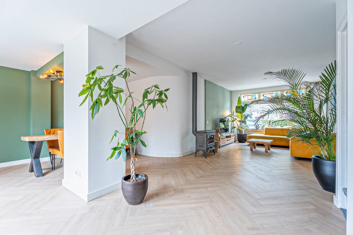 Foto 2 van Nassauplein 11