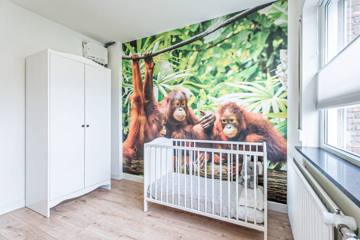 Foto 22 van Nassauplein 11