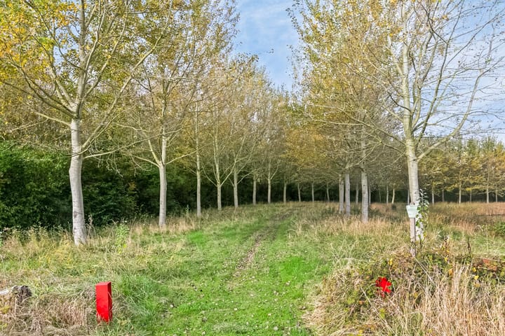 Foto 45 van Bloemenlaan 110