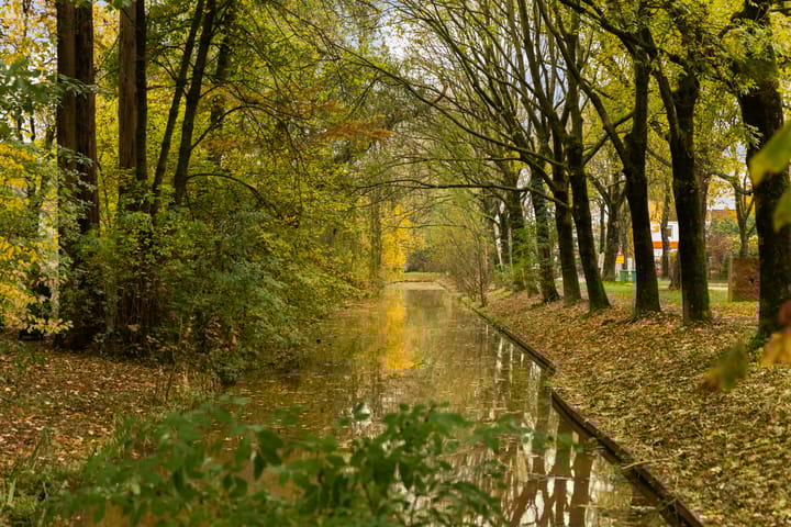 Foto 50 van Walmolen 31