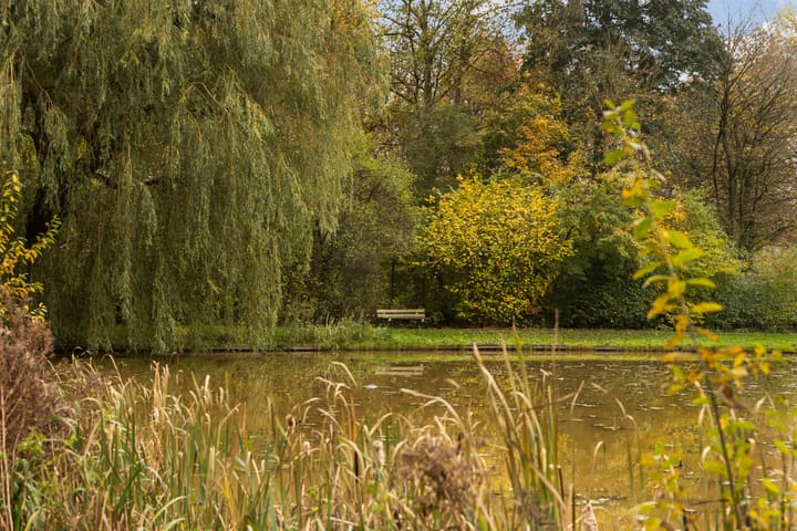 Foto 51 van Walmolen 31