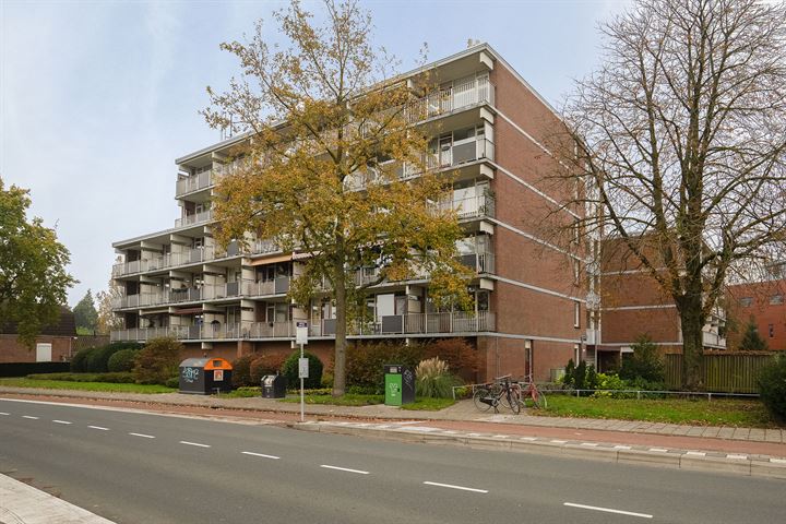 Bekijk foto 18 van Haaksbergerstraat 478