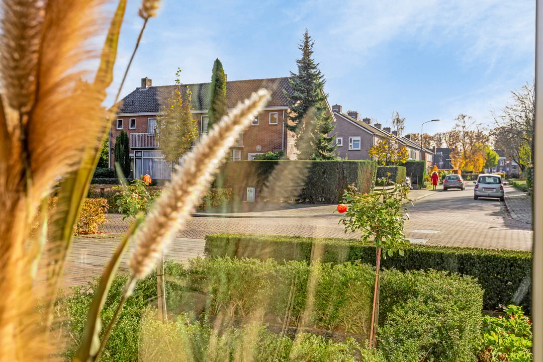 Foto 16 van Industrieweg 109