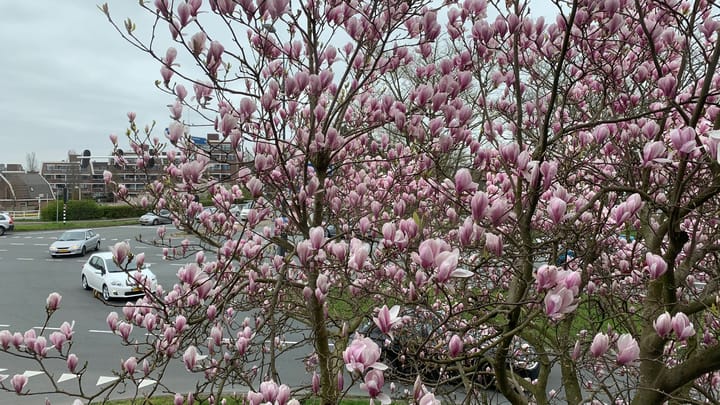 Foto 39 van Hoge Rijndijk 215