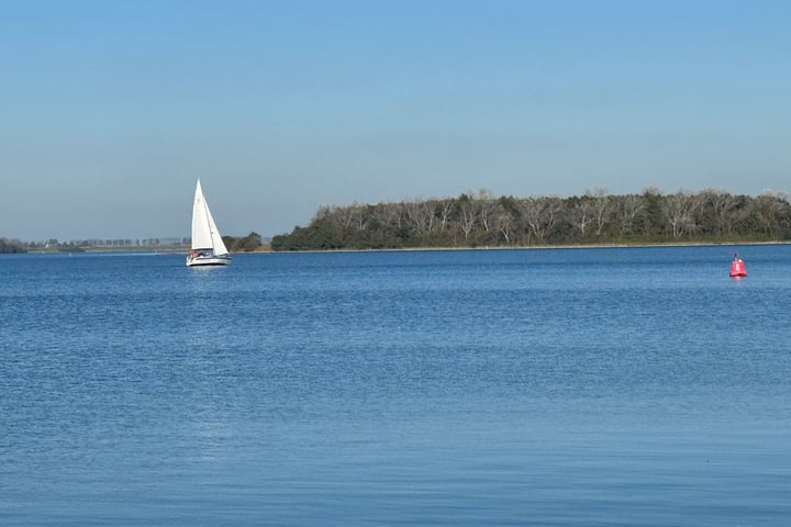 Bekijk foto 41 van Lamsoor 67