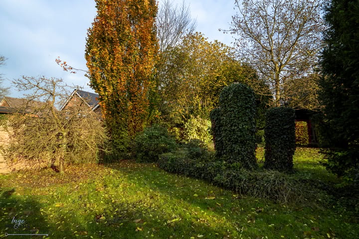 Foto 43 van Burgemeester Janssenstraat 28