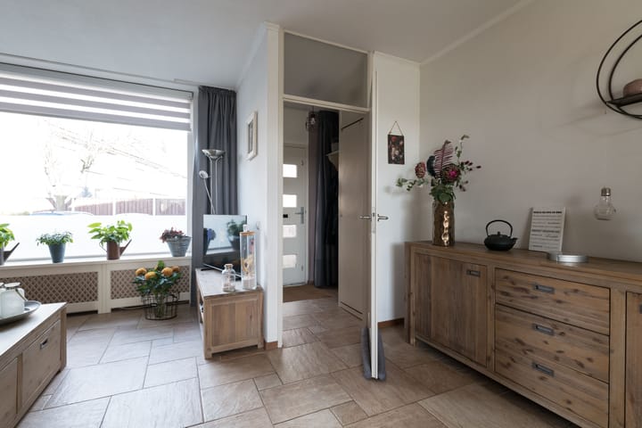 Foto 8 van Minerva 7