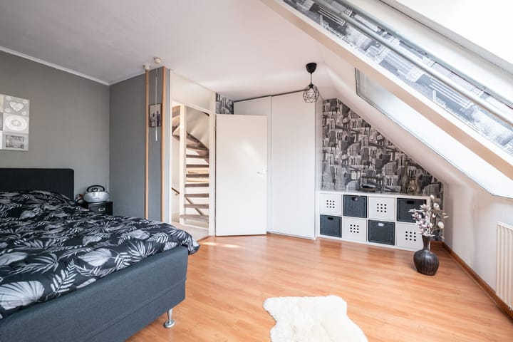 Foto 24 van Minerva 7