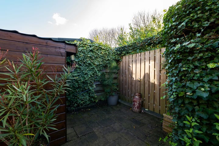 Foto 39 van Minerva 7