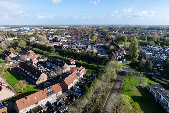 Foto 41 van Minerva 7