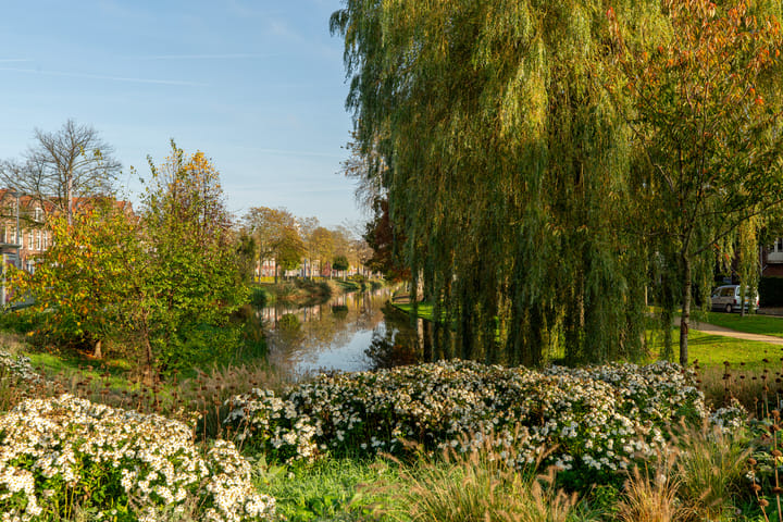 Foto 33 van Boergoensevliet 209-B