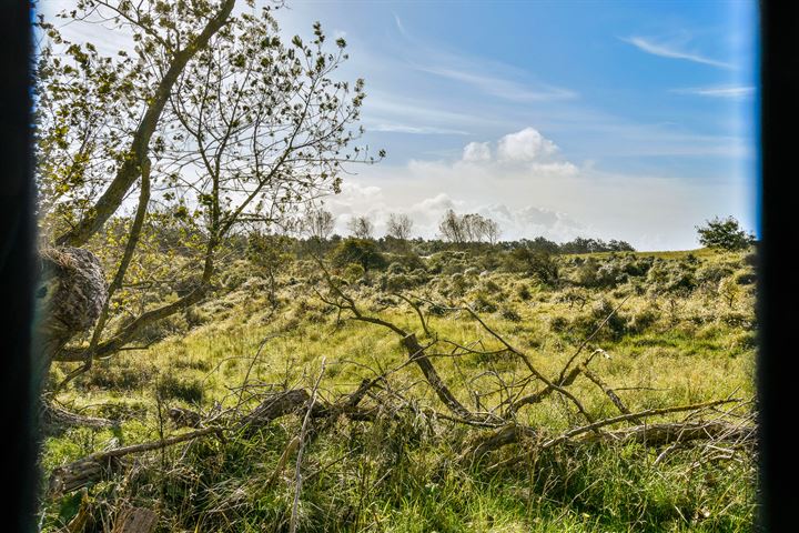 Bekijk foto 48 van Zandvoortselaan 143