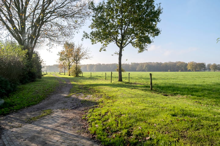 Bekijk foto 45 van Hagenakkers 23