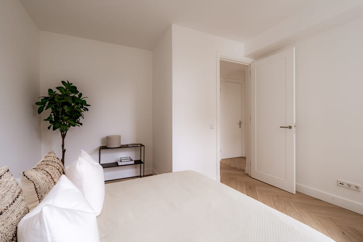 Foto 26 van Linnaeusstraat 85-2