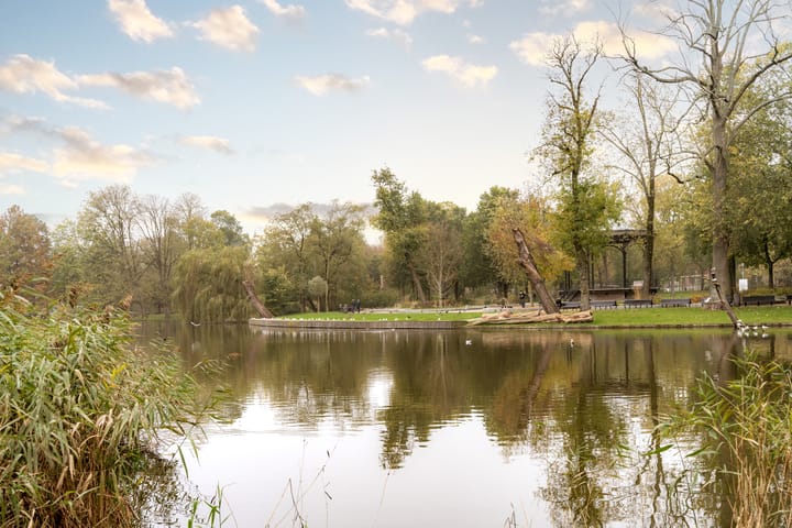 Foto 38 van Linnaeusstraat 85-2