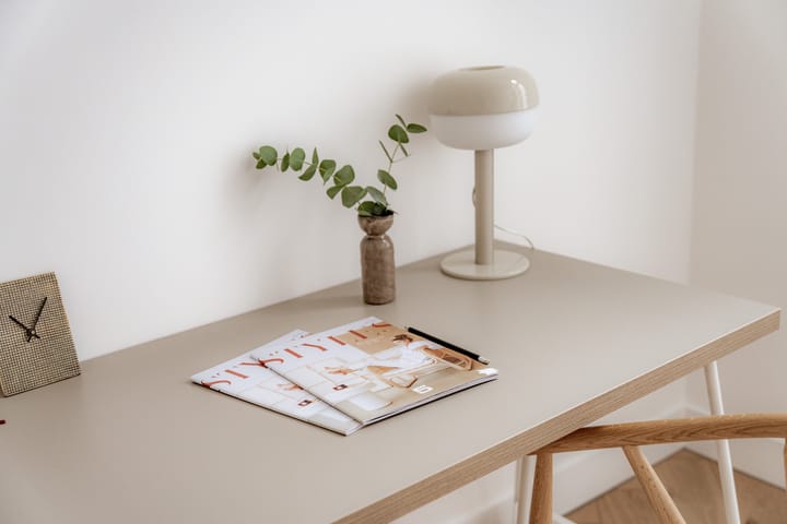 Foto 28 van Linnaeusstraat 85-2