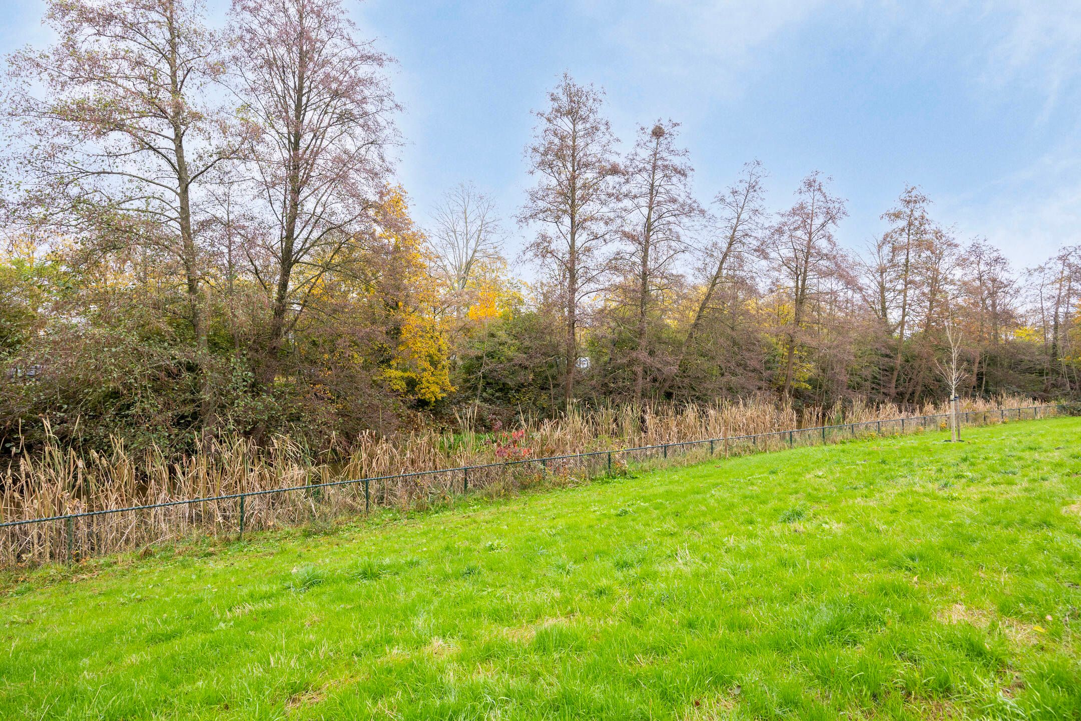 Foto 45 van Poortersveld 816