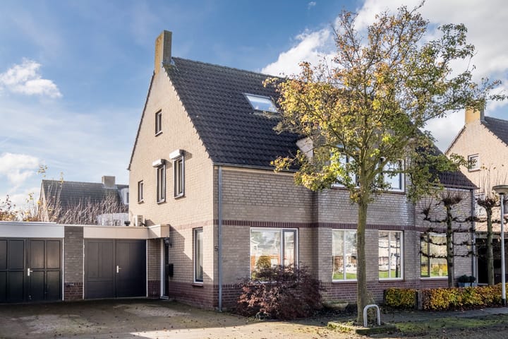 Foto 3 van Sleutelbloem 5