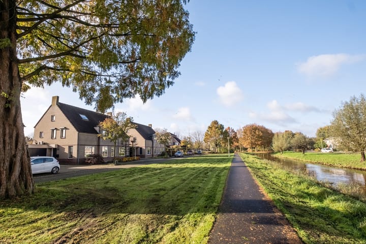 Foto 5 van Sleutelbloem 5