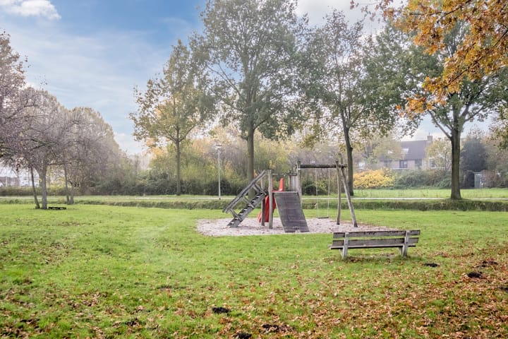 Foto 40 van Sleutelbloem 5