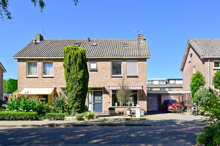 undefined main image