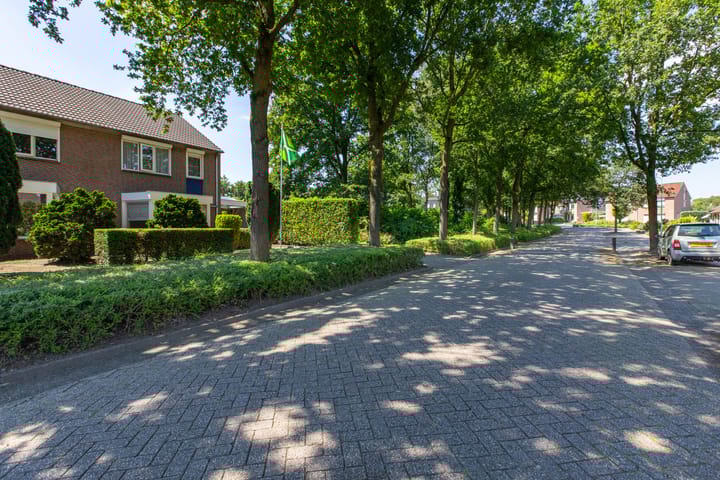 Foto 5 van Rodingsveen 10