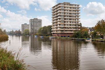 Jan Steenstraat thumbnail