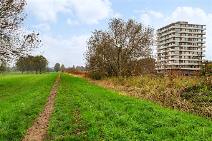 Bekijk foto 35 van Jan Steenstraat 82