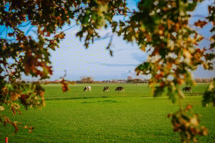Photo 3 of Broeksestraat 80