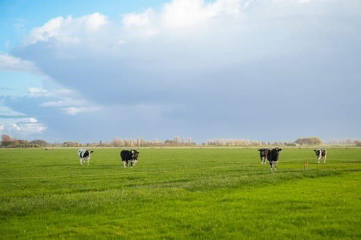 Photo 25 of Broeksestraat 80