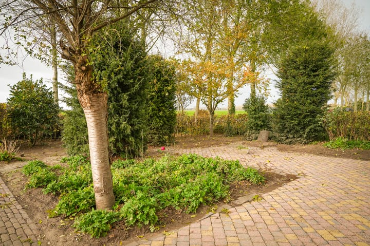 Photo 28 of Broeksestraat 80