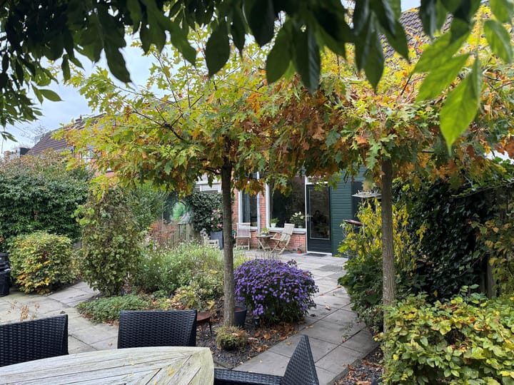 Foto 33 van Muurvaren 77