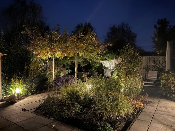 Foto 34 van Muurvaren 77