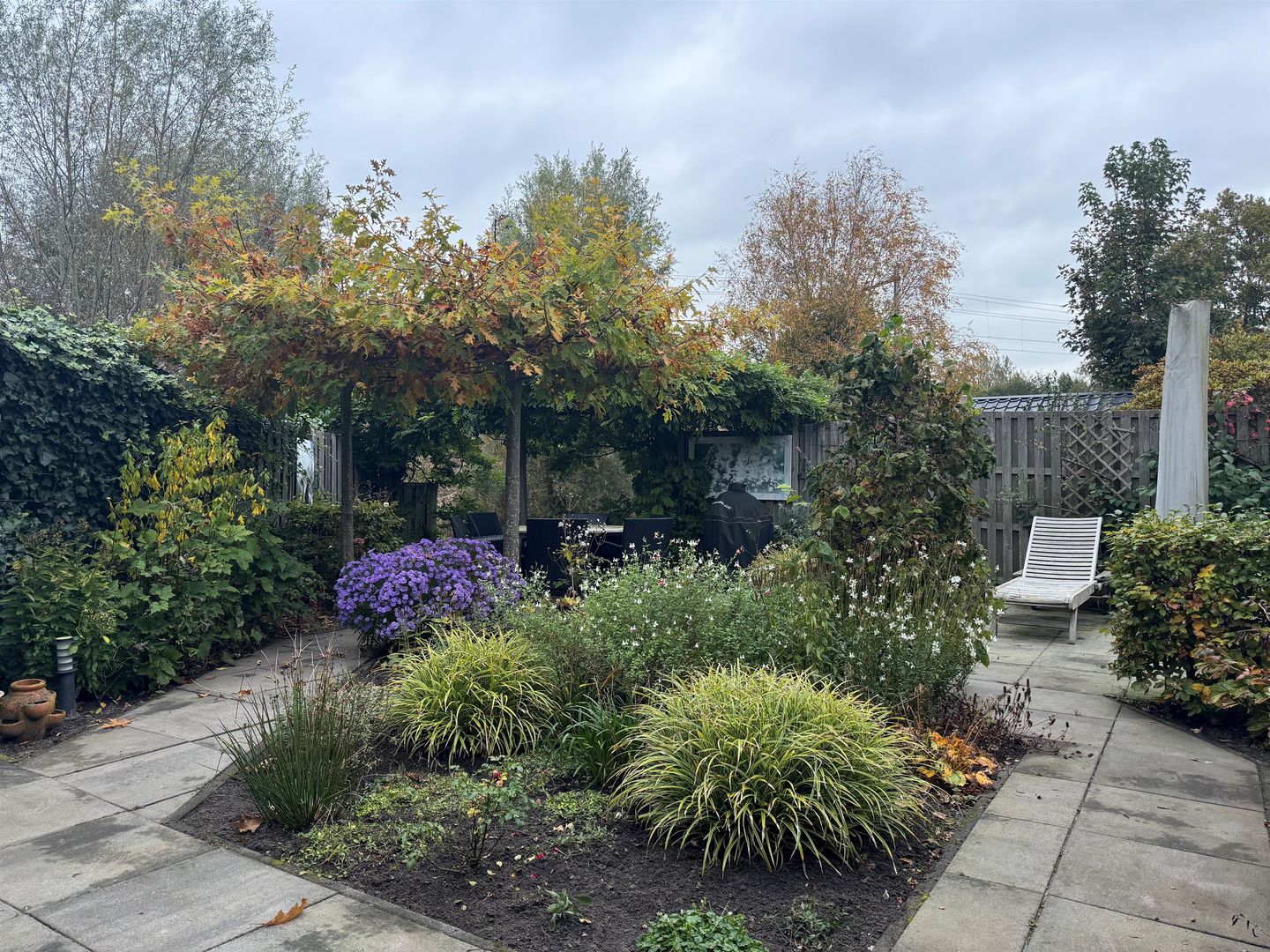 Foto 35 van Muurvaren 77