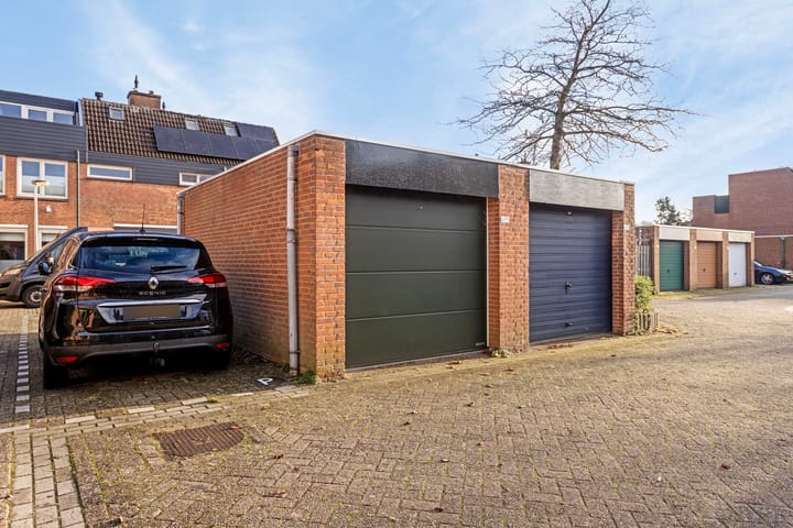 Foto 29 van Muurvaren 77