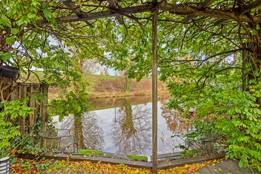 Foto 32 van Muurvaren 77