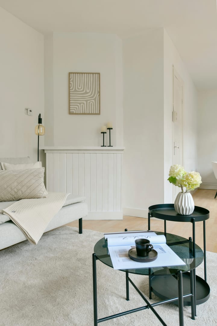 Foto 8 van Brederodestraat 107-2