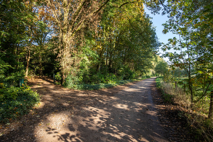 Bekijk foto 4 van Zandstraat 31