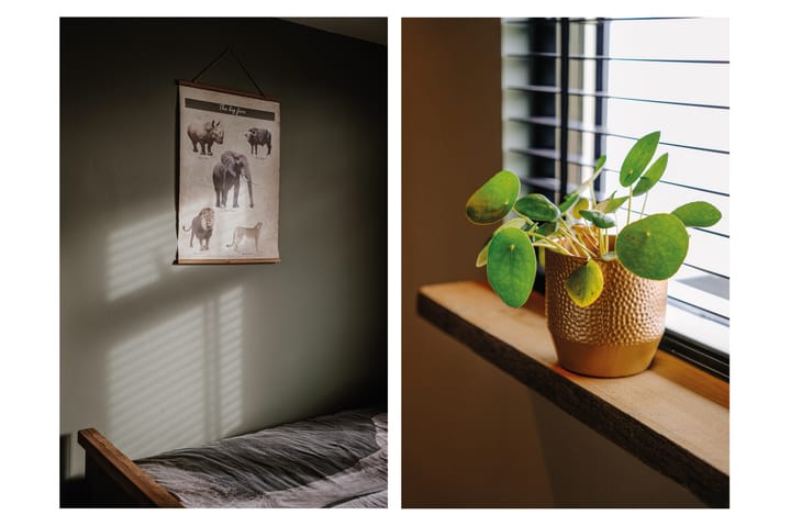 Foto 20 van Tempelierstraat 18