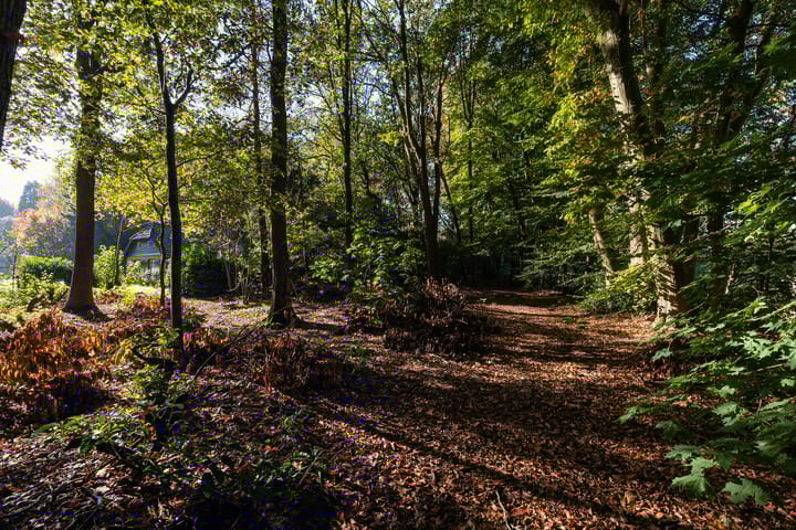 Foto 44 van Zandstraat 31