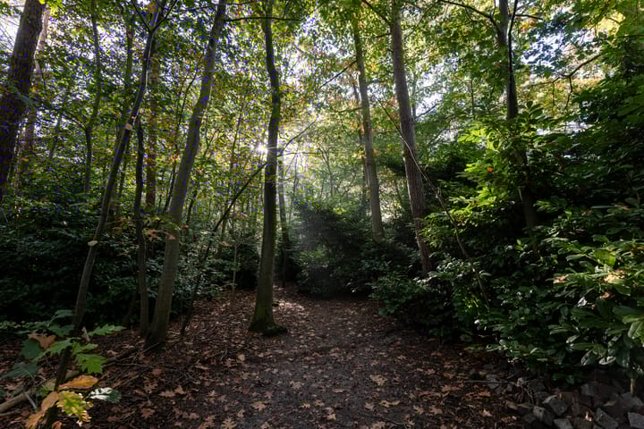 Foto 52 van Zandstraat 31