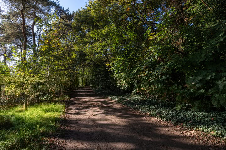 Foto 53 van Zandstraat 31