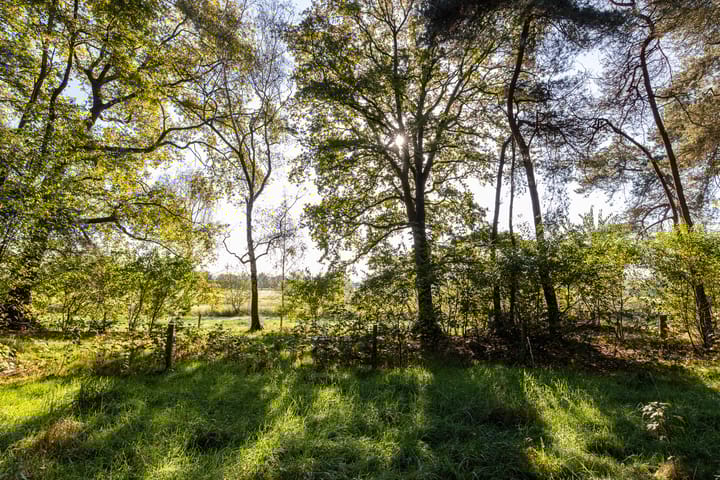 Foto 54 van Zandstraat 31