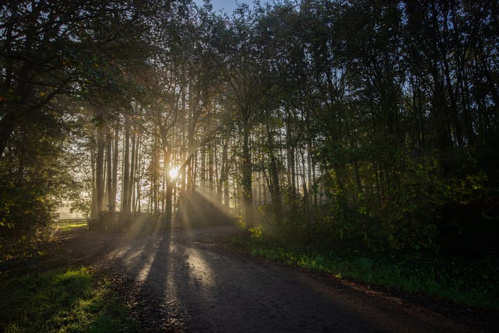 Foto 55 van Zandstraat 31