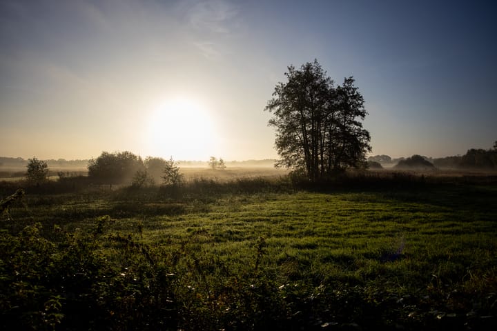 Foto 56 van Zandstraat 31