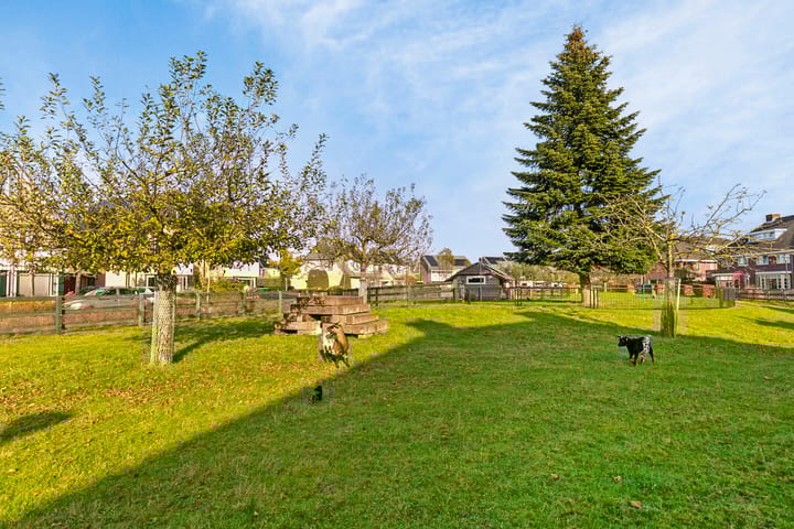 Foto 37 van De Korte Voorn 8