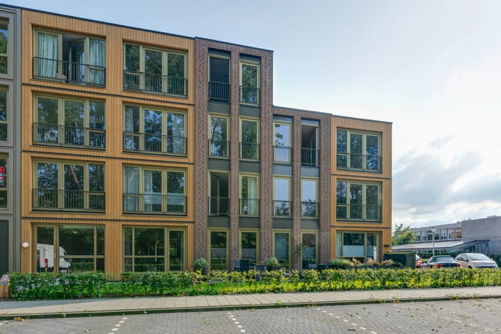 undefined main image