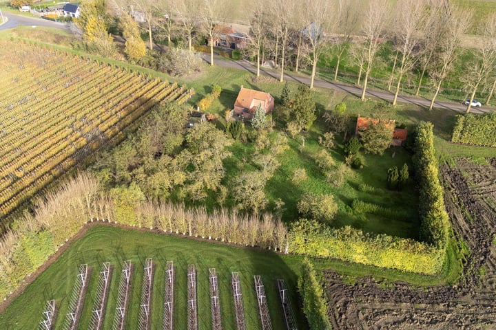 Bekijk foto 3 van Buijzenpolderdijk 4